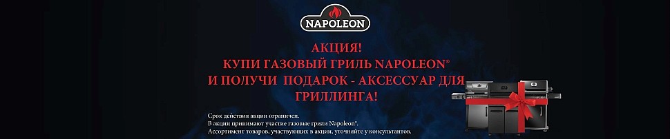 Газовые грили Napoleon в Майкопе